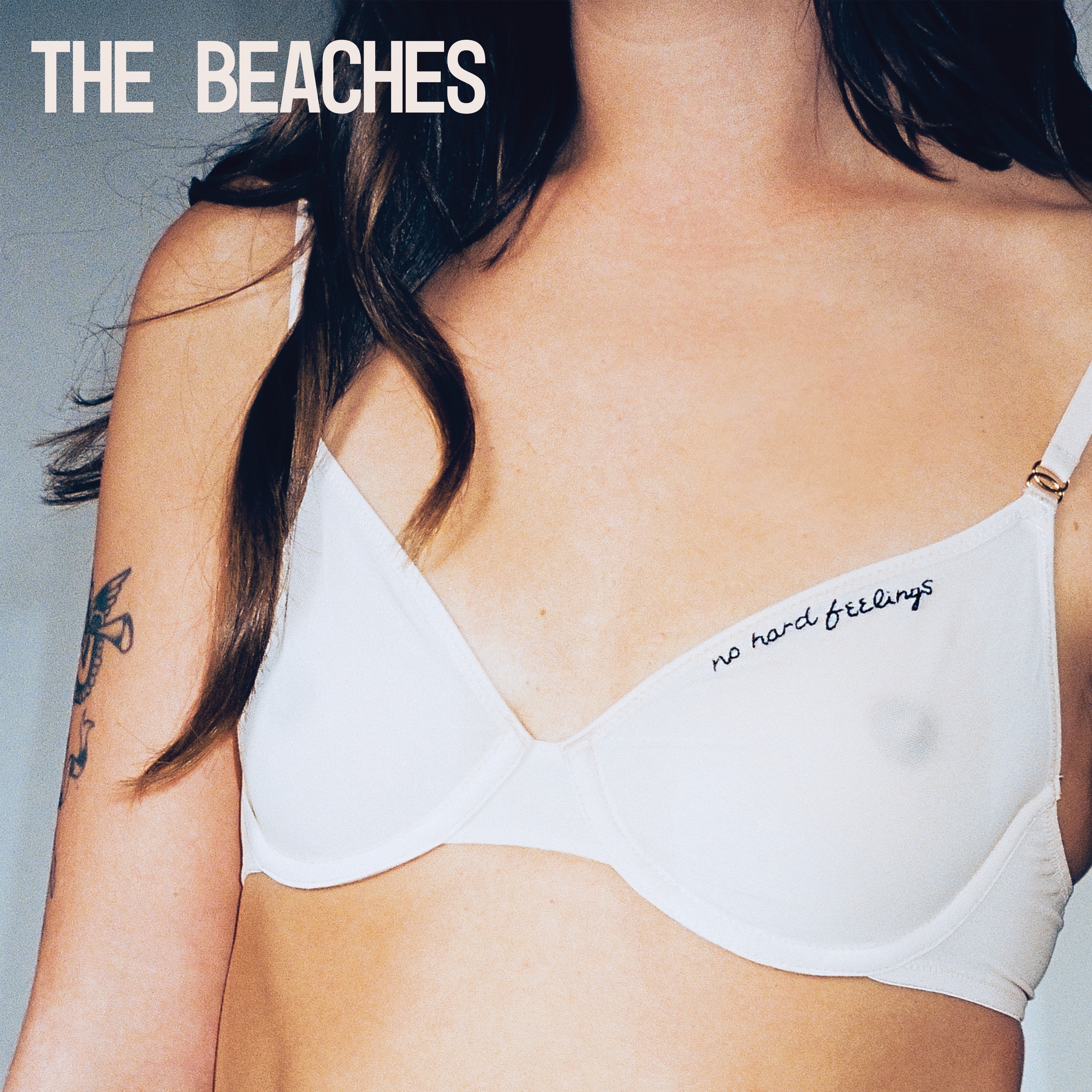 The Beaches - Takes One To Know One - 2024