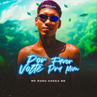 Por Favor Volte pra Mim - Single - Mc Dudu Chega BB