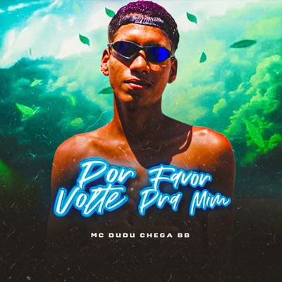 Por Favor Volte pra Mim - Single