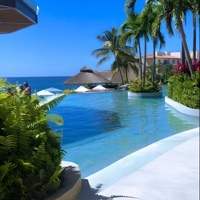 Resort - Single - ADTurnUp