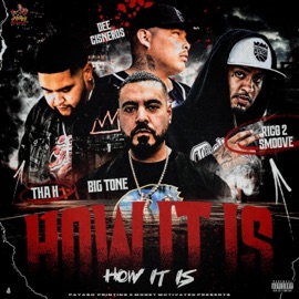 How It Is (feat. Dee Cisneros, Rico 2 Smoove, Big Tone & Tha H) Payasos Printing