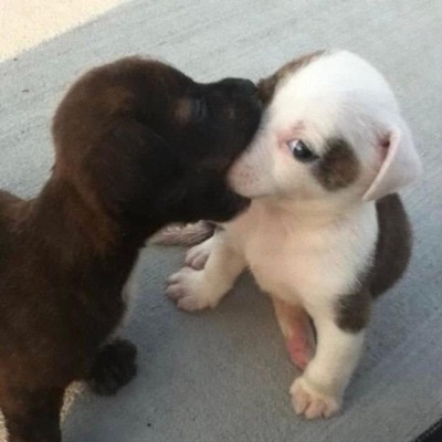 WORST BOYFRIEND EVER - Single