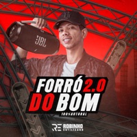 Robinho Estilizado - Ela Que Dança