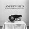 Caravan - Andrew Bird, Alan Hampton & Ted Poor lyrics