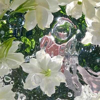 水中の花びら - underwater petals - Single