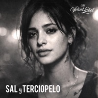 Sal y Terciopelo - Single - The Velvet Label
