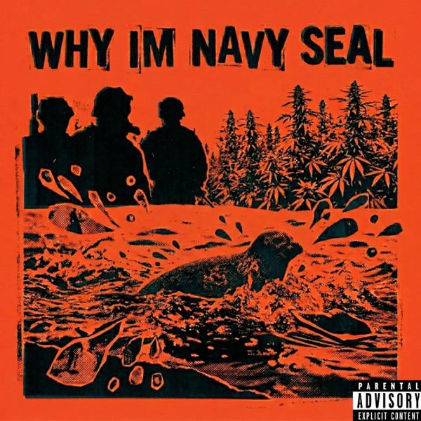 why im navy seal