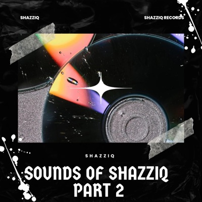 Sounds Of ShazziQ, Pt. 2 - Single