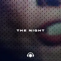 The Night — Lifelong Corporation