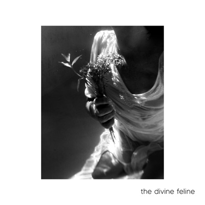 The Divine Feline - Single