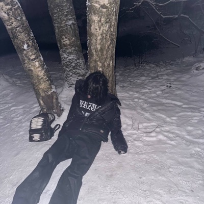 Jennifers Body - Single