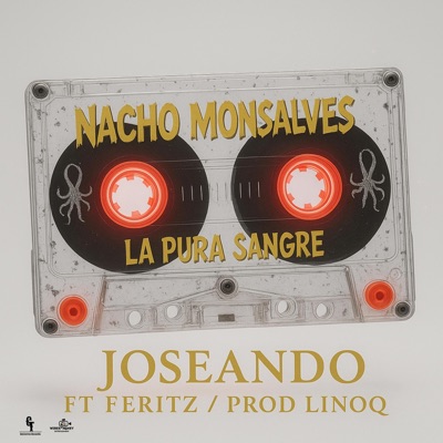 Joseando (feat. Feritz) - Single