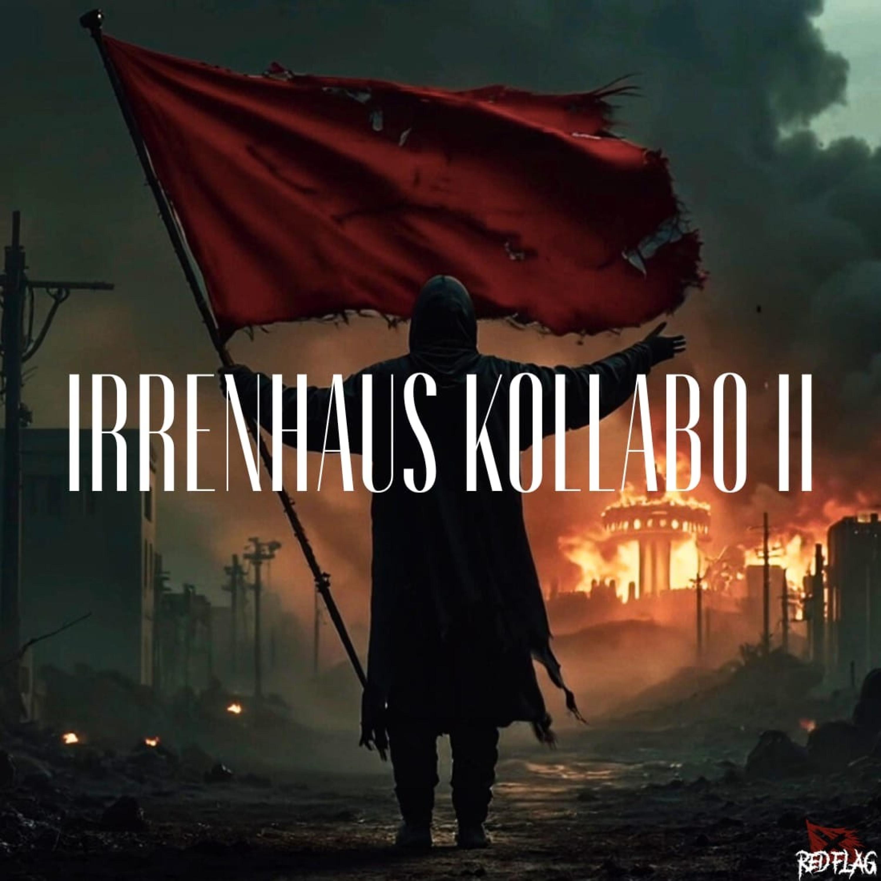 IRRENHAUS KOLLABO II - Single