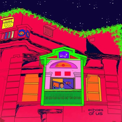 echoes of us (feat. AliSoomroMusic) - Single