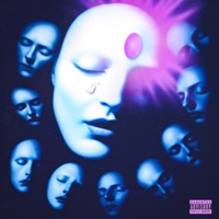 Rueda de Plutchik - Unidad 0