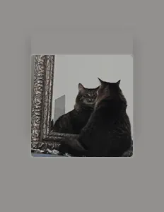 Dengarkan fwrd, tonton video musik, baca bio, lihat tanggal tur & lainnya!