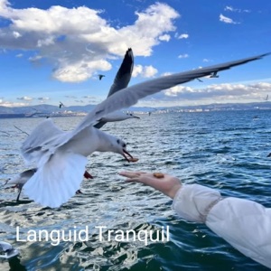 Languid Tranquil