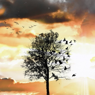 Early Bird (feat. Juni) - Single