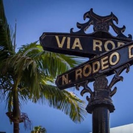 RODEO DR. (feat. KDUBB) Lil TOPp