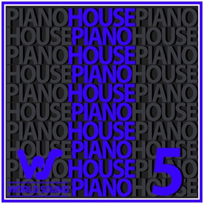 World Sound Piano House #5