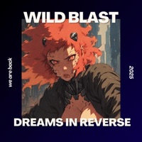 Dreams In Reverse - Wild Blast