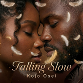 Falling Slow song art