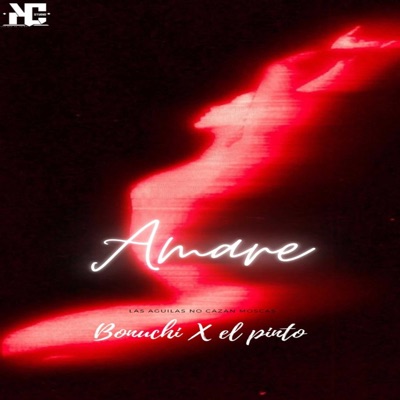 !!Amare¡¡ (feat. Bonuchi) - Single