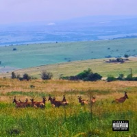 Balalela 2 (feat. Sastii) - Single - Siiya