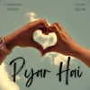 Pyar Hai - Single