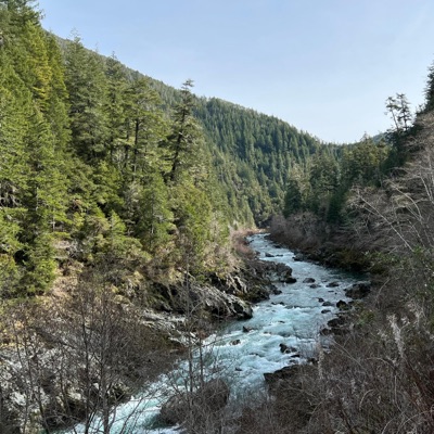 Where You Been? - Single