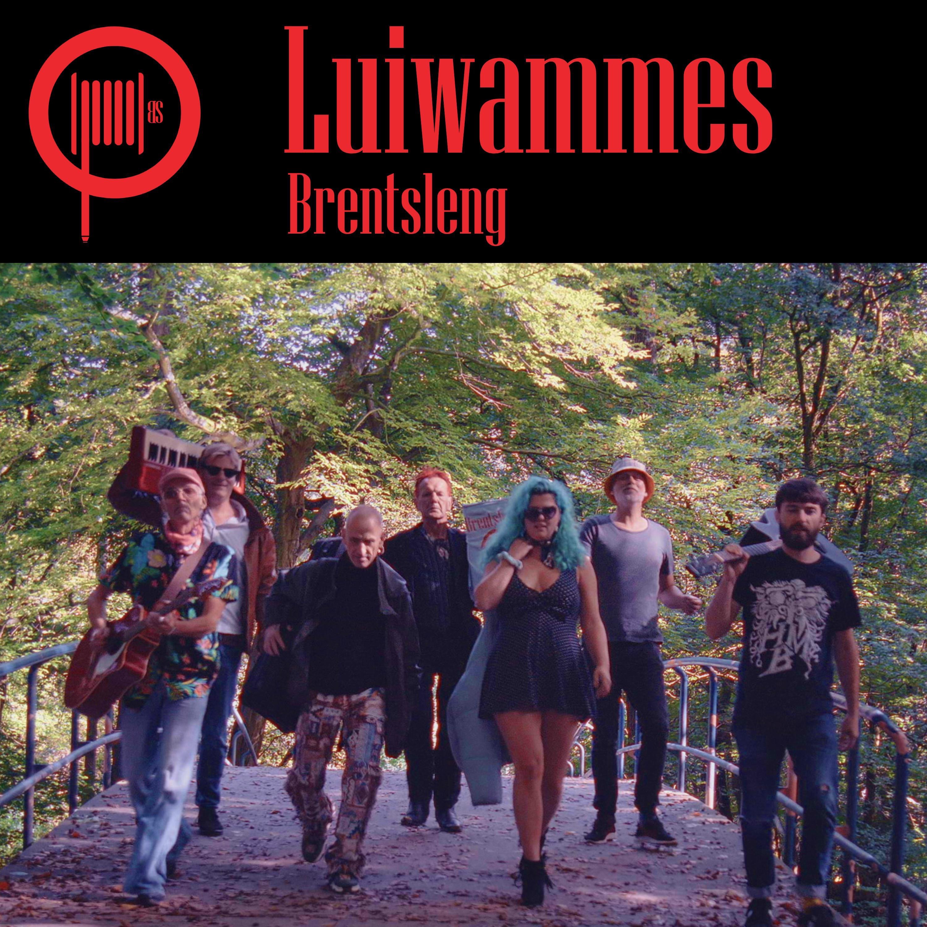 Luiwammes (Radio Edit) - Single