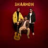 Shaamein - Single (feat. Robinhood & Voltaire) - Single