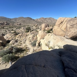 Sweep Day (feat. FYN DP) Fyn wavy