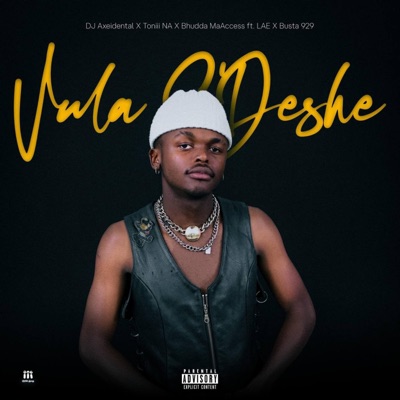 Vula S'Deshe (feat. Busta 929 & LAE) - Single