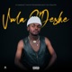 Vula S Deshe feat Busta 929 LAE Single