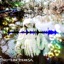 NOTEIN TERESA - Single