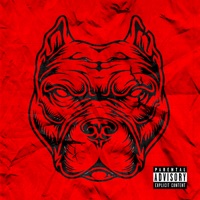 Modo Pitbull (feat. Bronks) - Single - Yousef