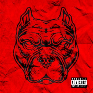 Modo Pitbull (feat. Bronks)