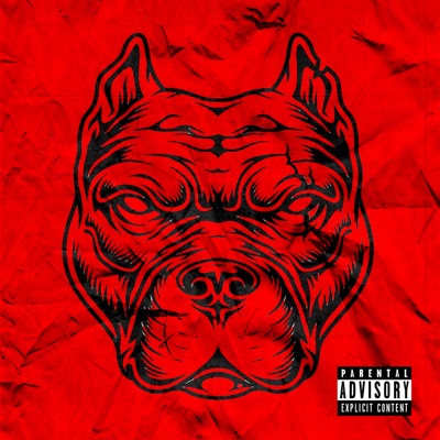 Modo Pitbull (feat. Bronks) - Single