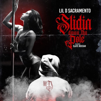 Slidin Down Tha Pole (feat. Slate Roccah) - Single