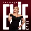 Telmaşa