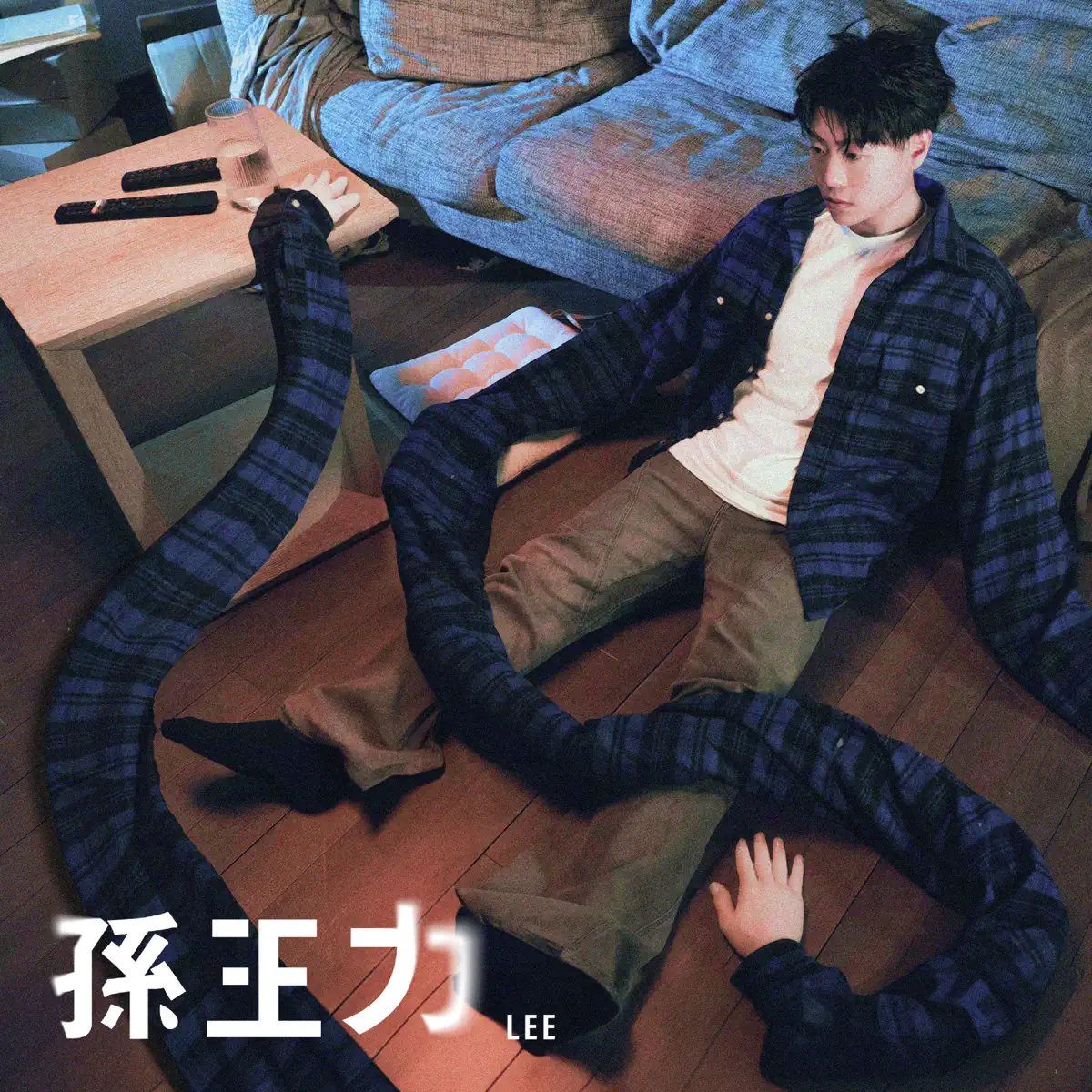 LEE 孙王力 - 这首歌没有意义 - Single (2024) [iTunes Plus AAC M4A]-新房子
