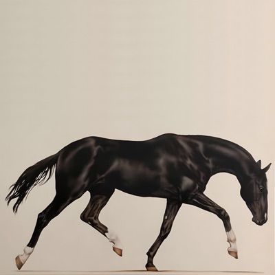 ON MET PAS DE SELLE À UN MUSTANG - Single