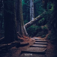 Dark Forest - Single - MyceliumBug