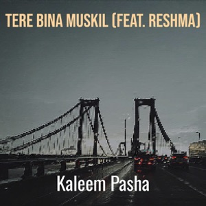 Tere Bina Muskil (feat. Reshma)