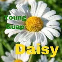 Daisy - Single - Young Guap