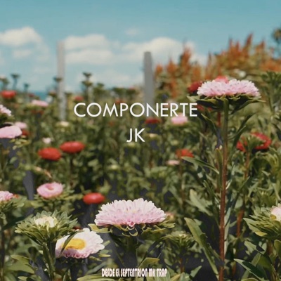 COMPONERTE - Single