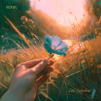 你就像陽光 Like Sunshine (Remix) - Single
