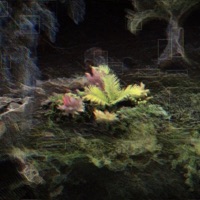 Blossom Echoes - Dewpoint