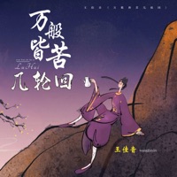 万般皆苦几轮回 - Single - 王佳音
